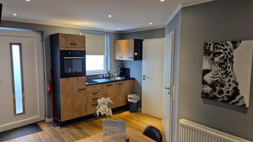 Kitchen or kitchenette, oven, stove, kitchen, kitchen
