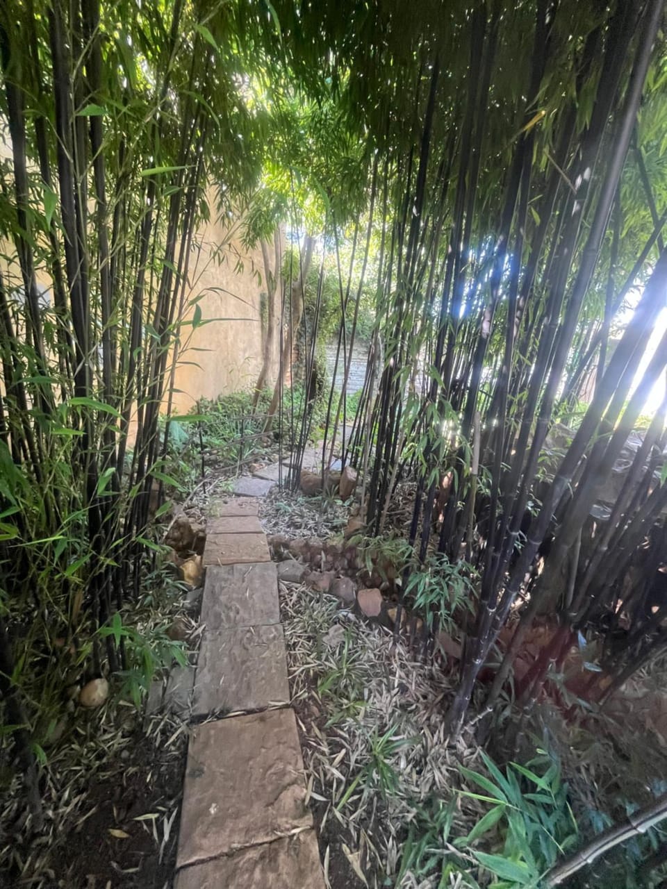 Day, Garden, Garden view