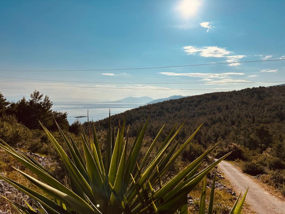 Natural landscape, Sea view