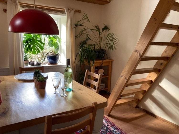 Pretty sunny cottage, Machynlleth Apartment in Wales
