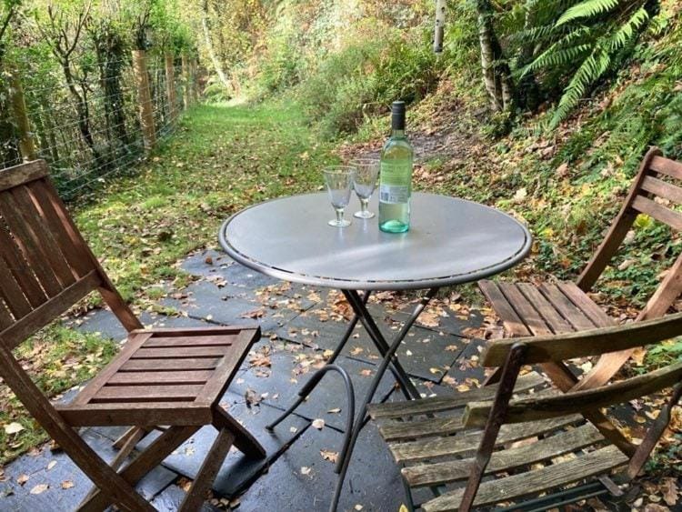 Pretty sunny cottage, Machynlleth Apartment in Wales