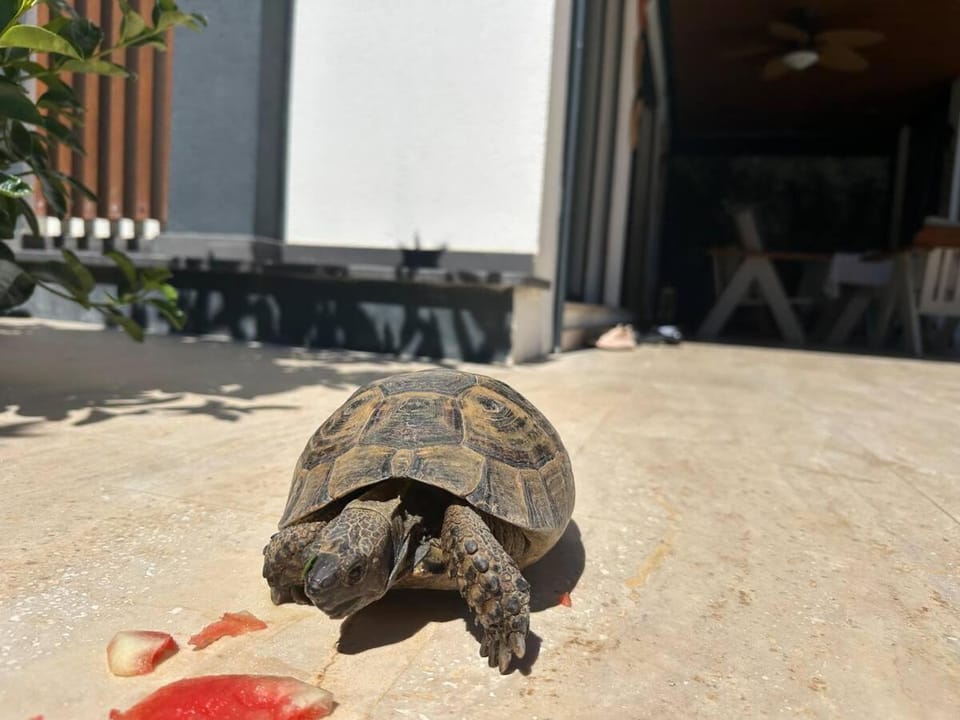 Sea View Villa in most upscale Yalikavak Villa in Yalıkavak