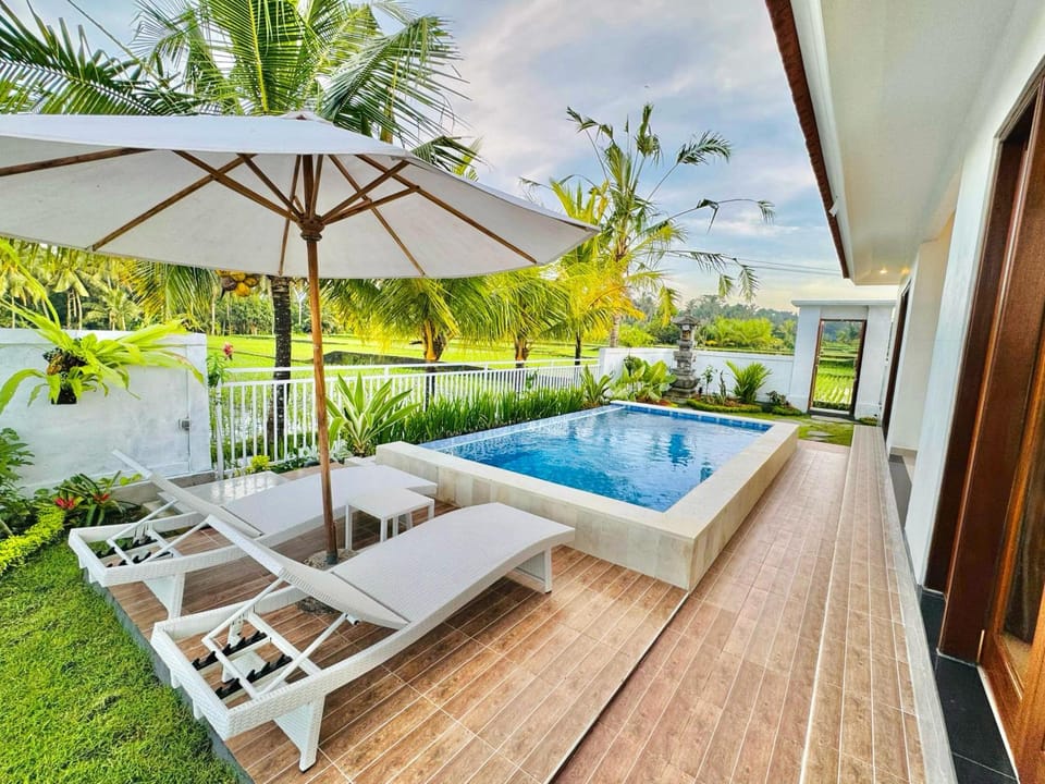 Patio, Day, Natural landscape, Garden, Garden view, Pool view, Swimming pool, Swimming pool, sunbed