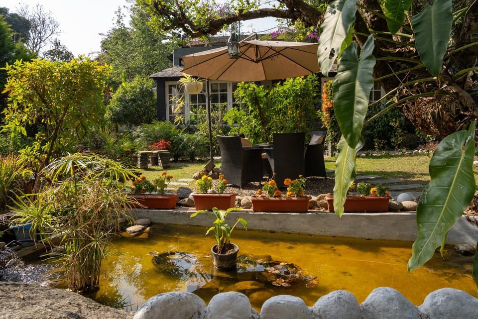 Natural landscape, Garden, Garden view