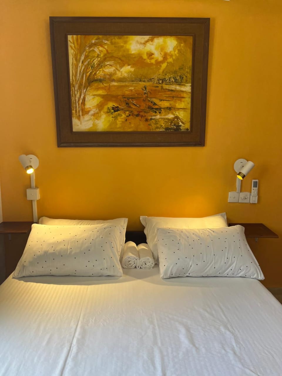 Cosy Central Colombo Suite Apartment in Colombo