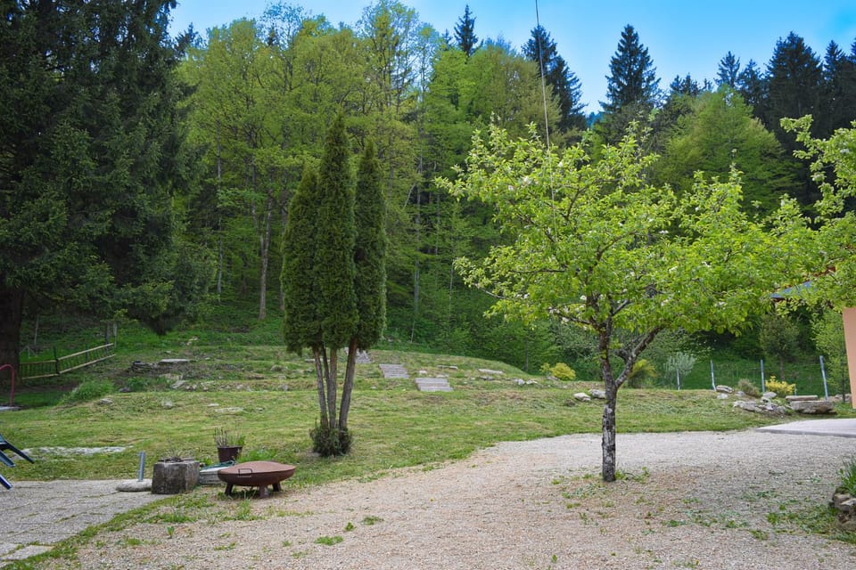 Garden view
