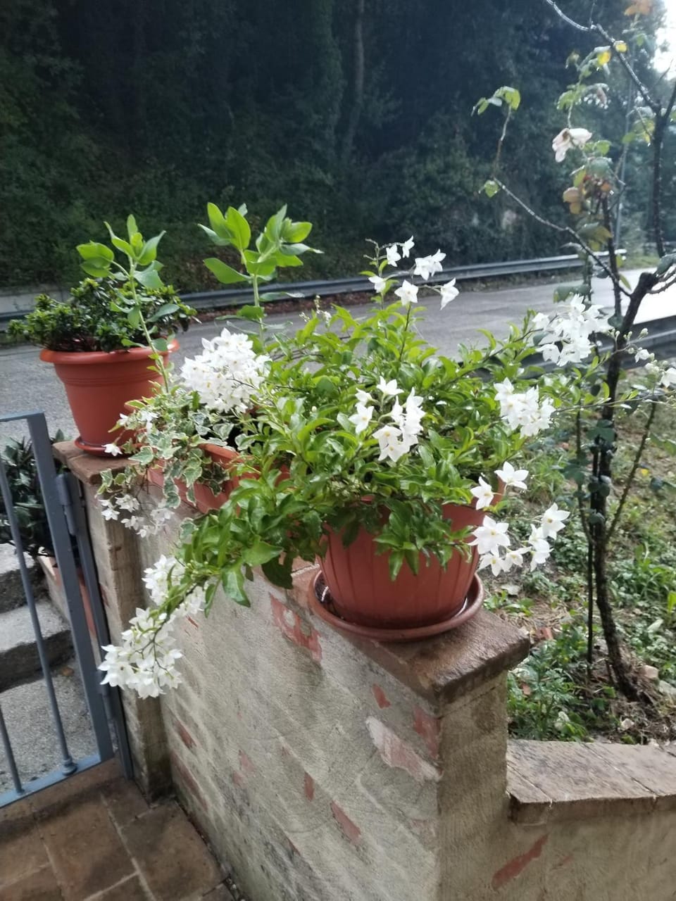 Biancaneve Apartment in Umbria