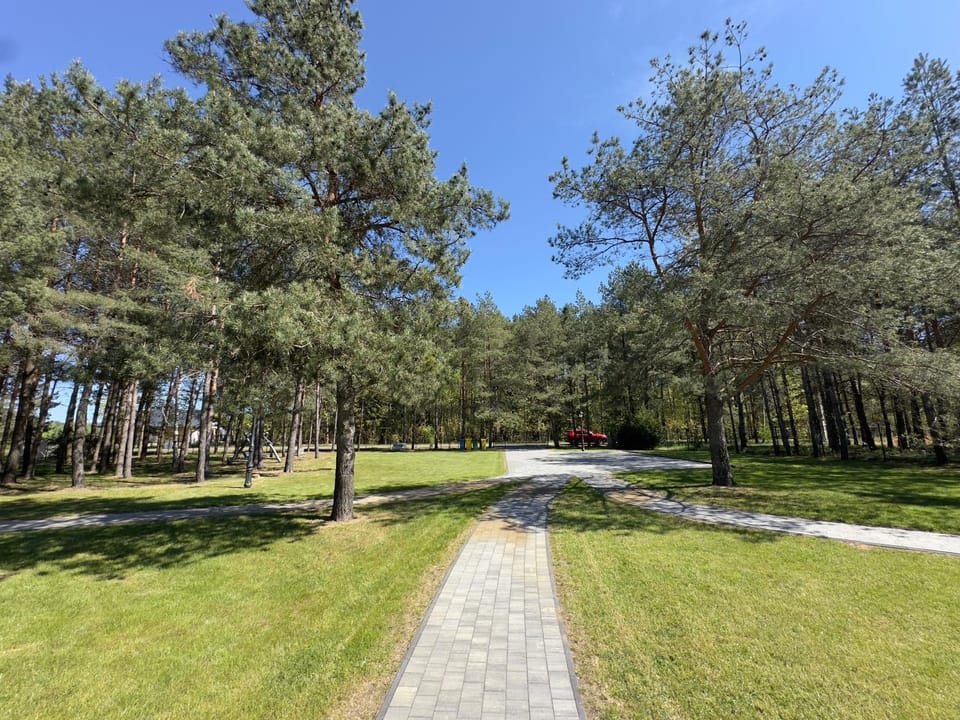 Spring, Natural landscape, Garden, Garden view