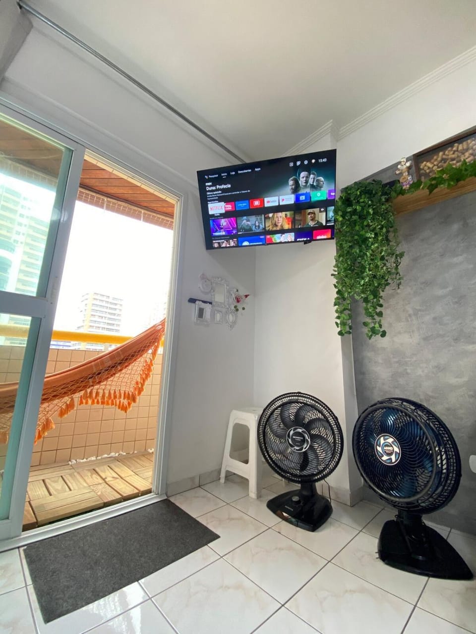 TV and multimedia