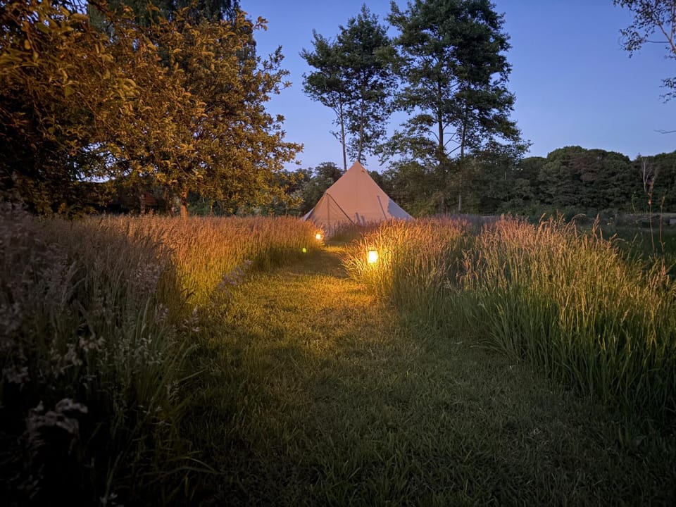 Garden, Garden, Evening entertainment, Garden view, Garden view
