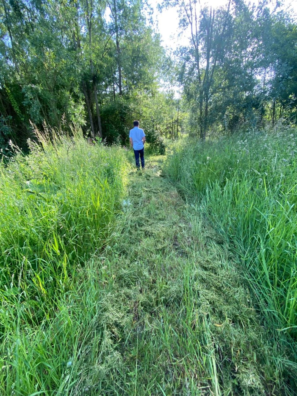 Day, People, Natural landscape, Garden