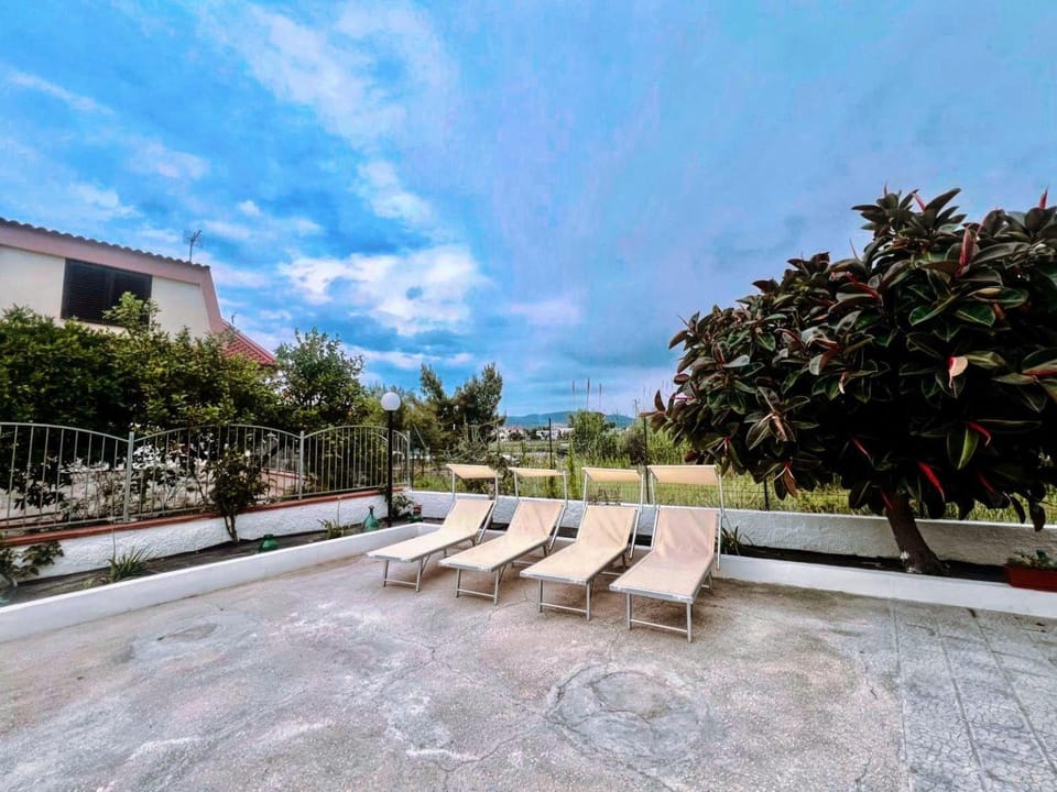 Garden, Garden view, Inner courtyard view, sunbed