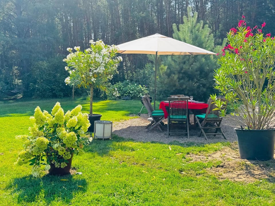 Garden view