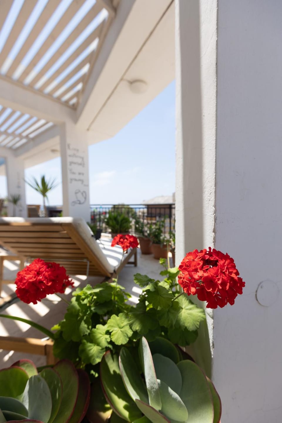 One Love One World Ayia Napa Square Hostel Hostel in Ayia Napa