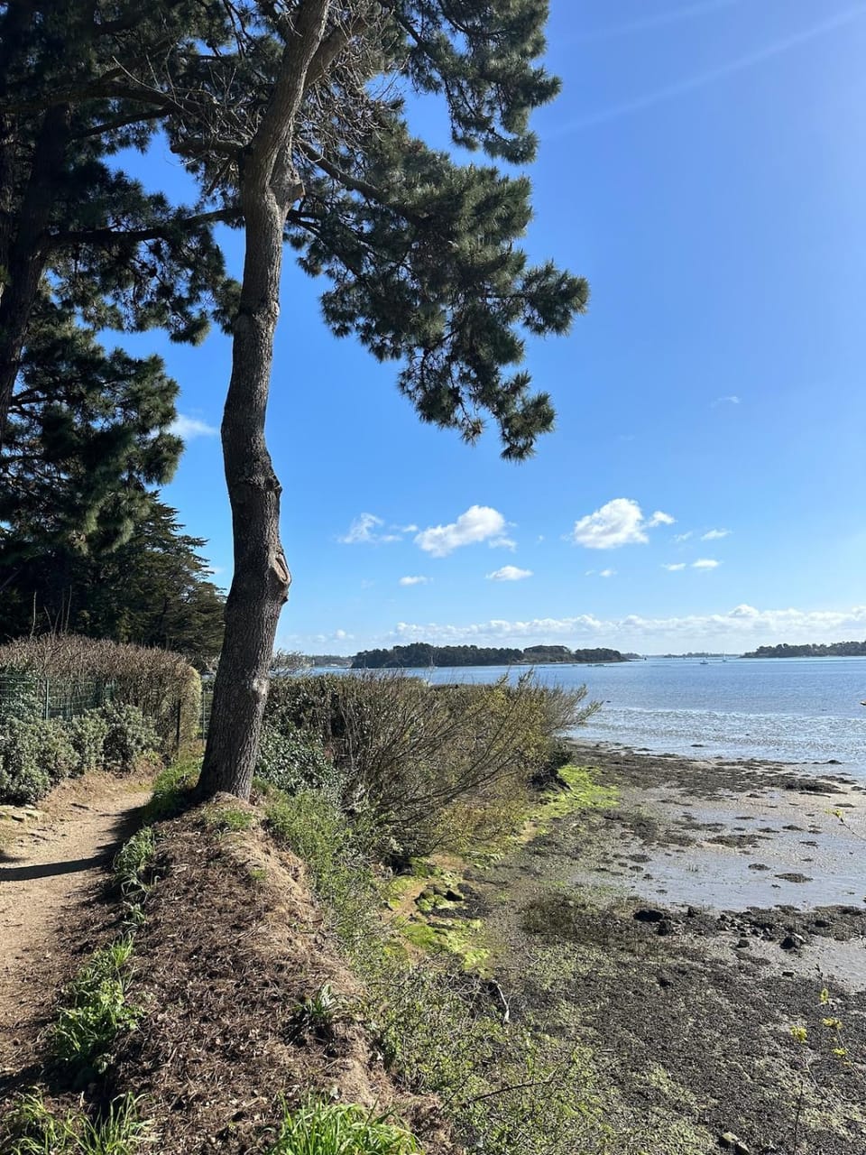 Bois bas cottage - Baden bord de mer proche Vannes House in Arradon