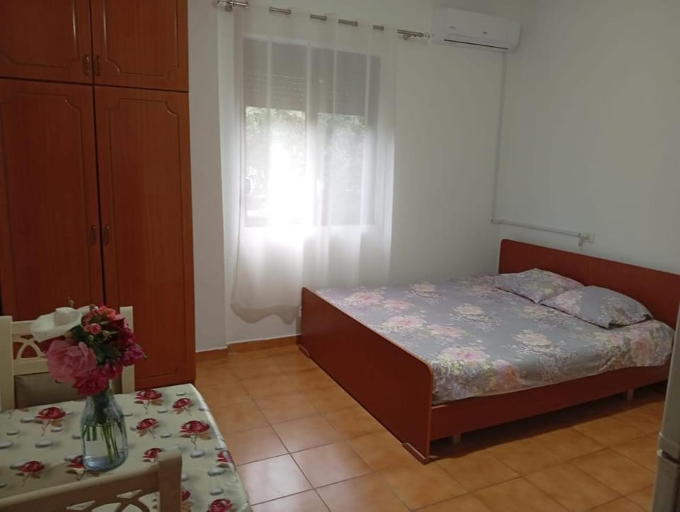 Arta room Bed and Breakfast in Tirana County, Albania