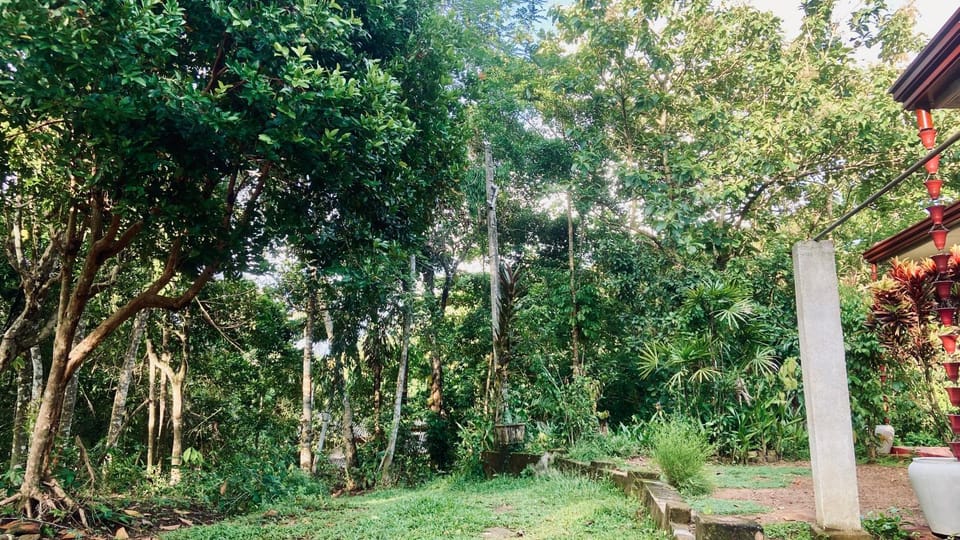 Spring, Day, Natural landscape, Garden view