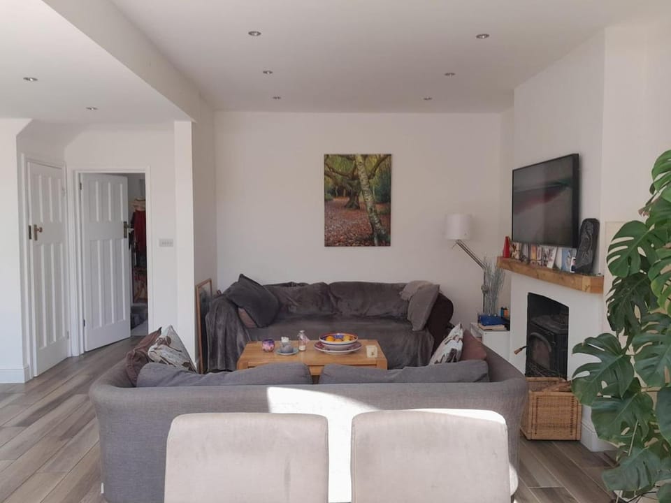 Beautiful airy house by river House in Kingston upon Thames