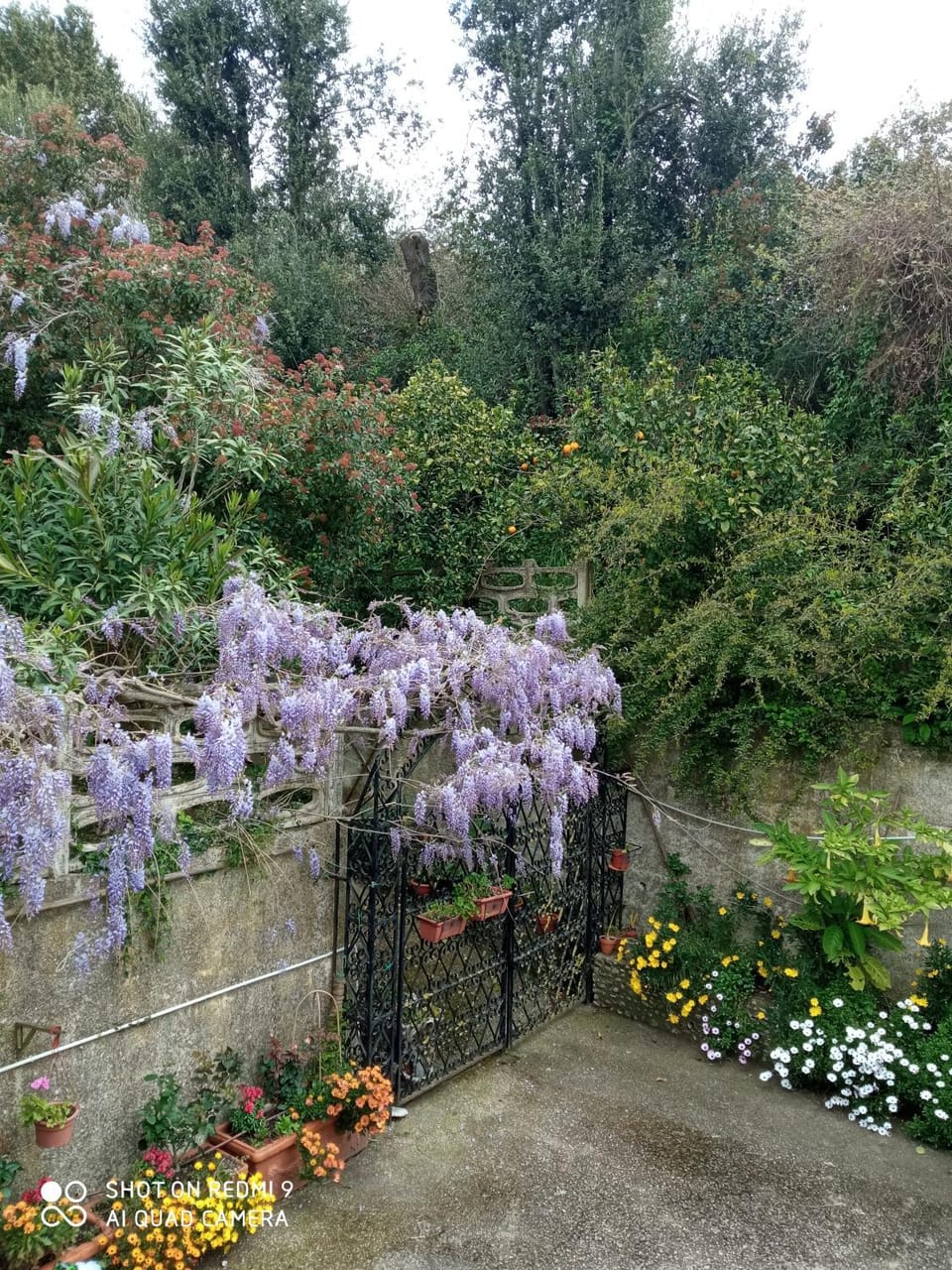 Garden view