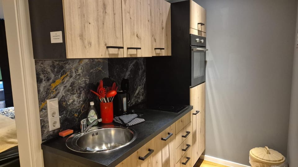 Kitchen or kitchenette, oven, stove, stove, kitchen, kitchen