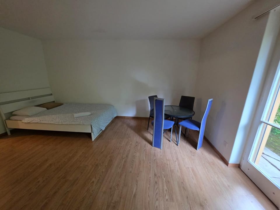 Zurich Center Flats with Balcony - RigiD Apartment in Zurich City