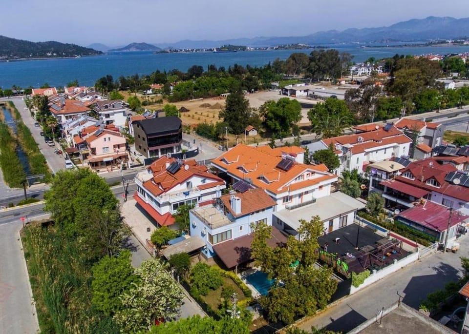 Bird's eye view, Location