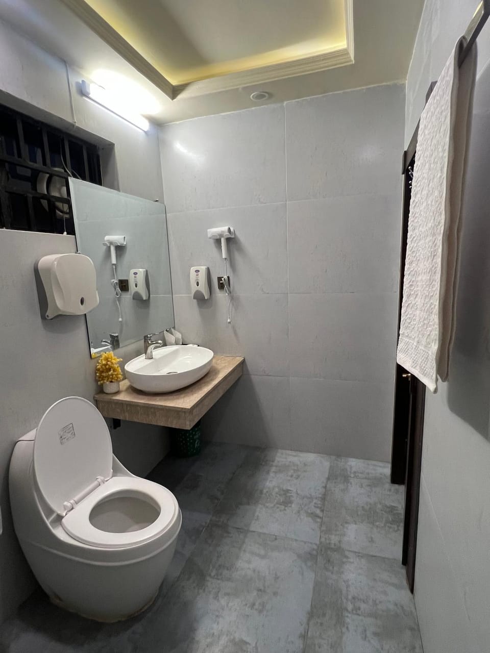 Toilet