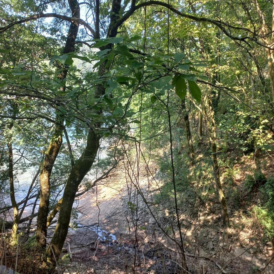 Spring, Day, Natural landscape, Lake view, River view