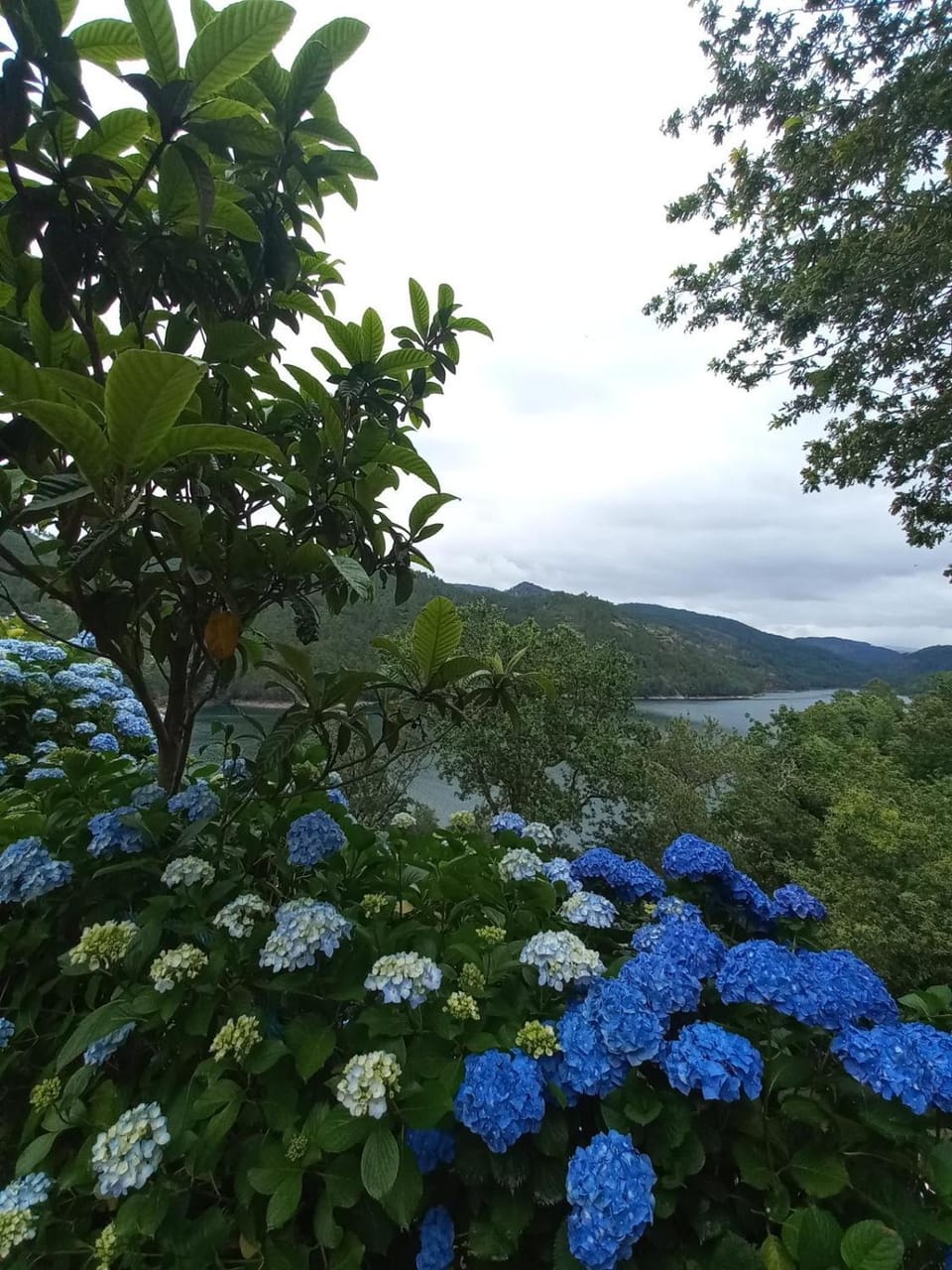 Spring, Day, Natural landscape, Garden, View (from property/room), View (from property/room), Garden view, Garden view, Mountain view, Mountain view, Pool view, Pool view, River view, River view