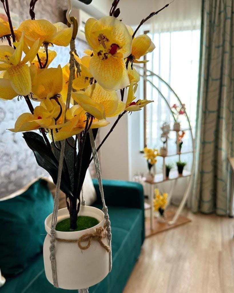 Summer Clubs Apartments Apartment in Constanta