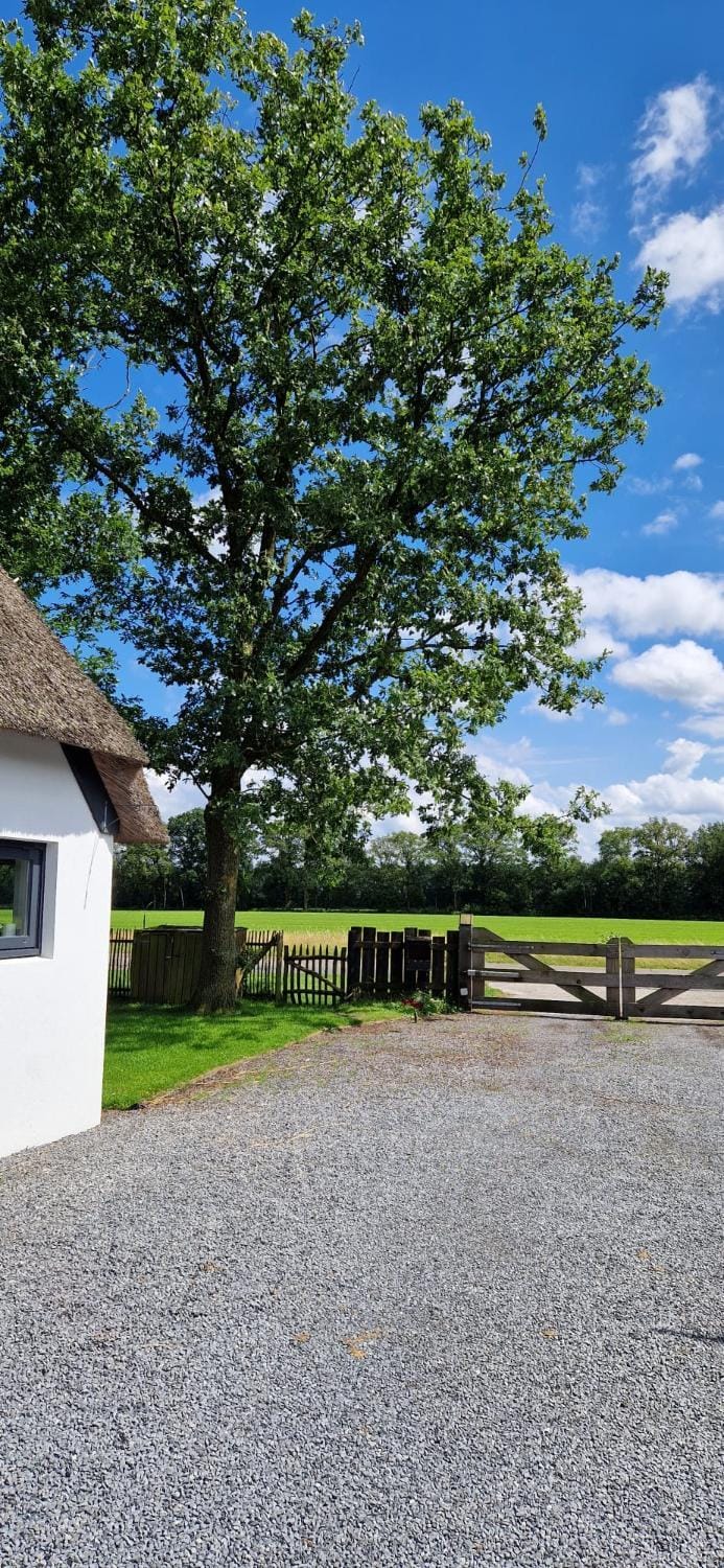 Bed and Breakfast 't Klokhuis Bed and Breakfast in Drenthe (province)