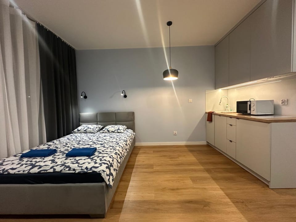 Bed, Kitchen or kitchenette, Photo of the whole room, Bedroom, oven