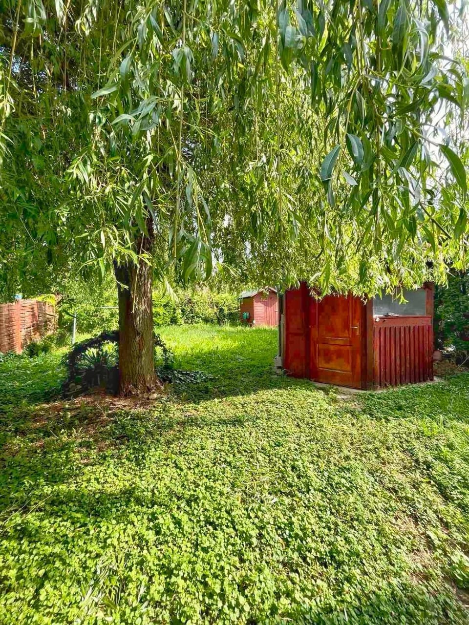 Property building, Spring, Day, Natural landscape, Garden, Garden view