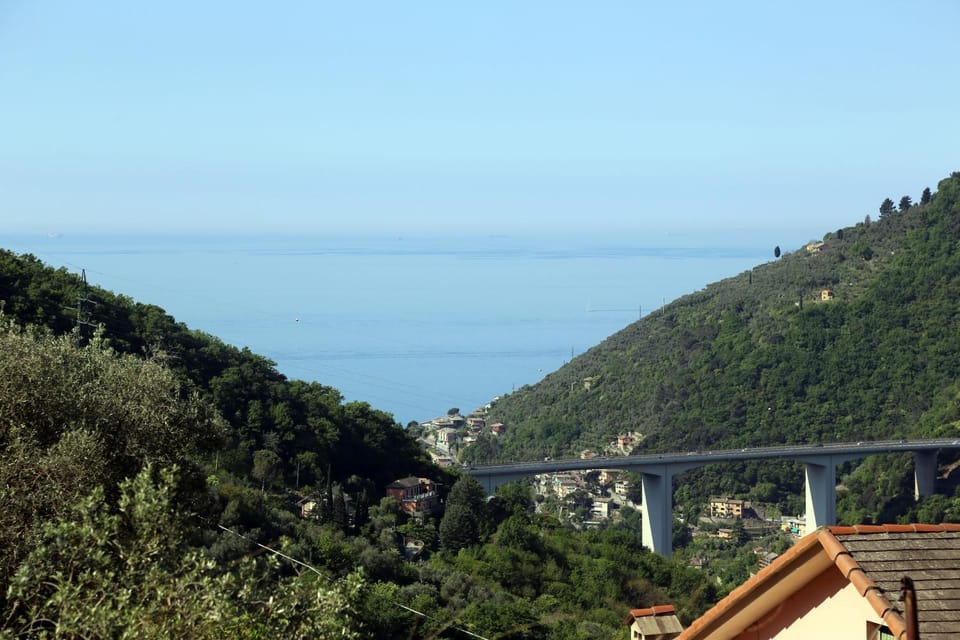Sea view