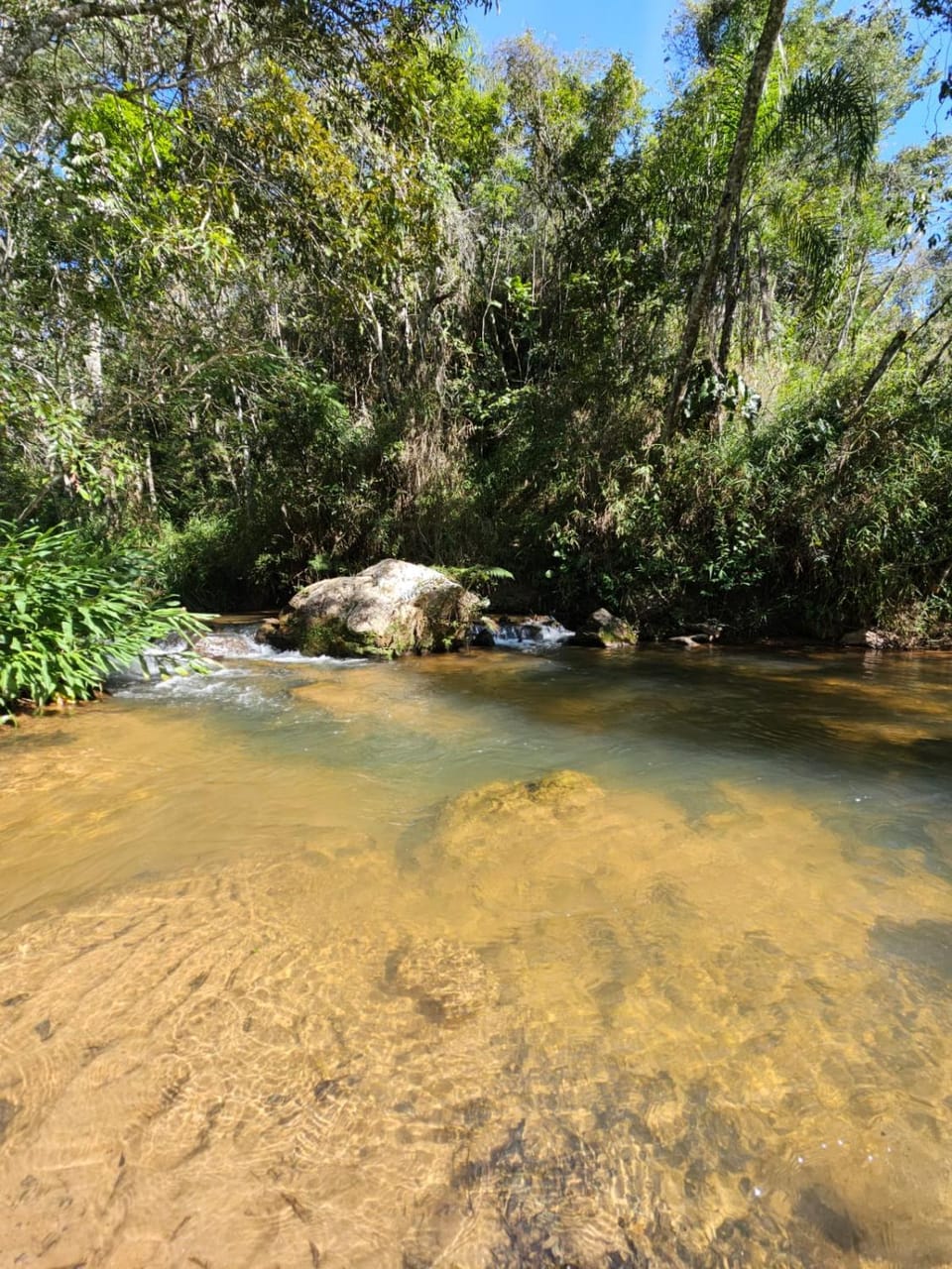 EcoCamping Jacaré Campground/ 
RV Resort in State of Rio de Janeiro