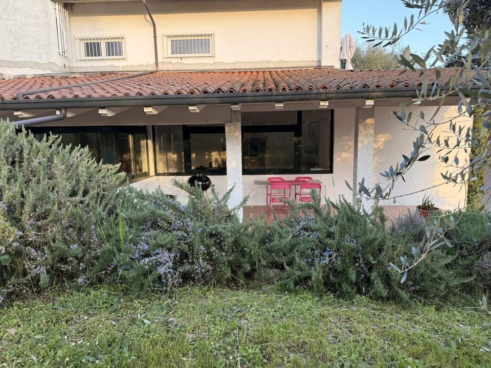 Property building, Spring, Day, Garden, Garden view