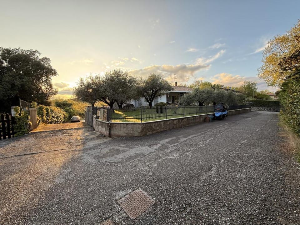 Day, Neighbourhood, Natural landscape
