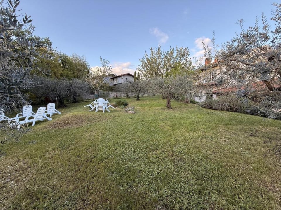 Spring, Day, Natural landscape, Garden, Garden view