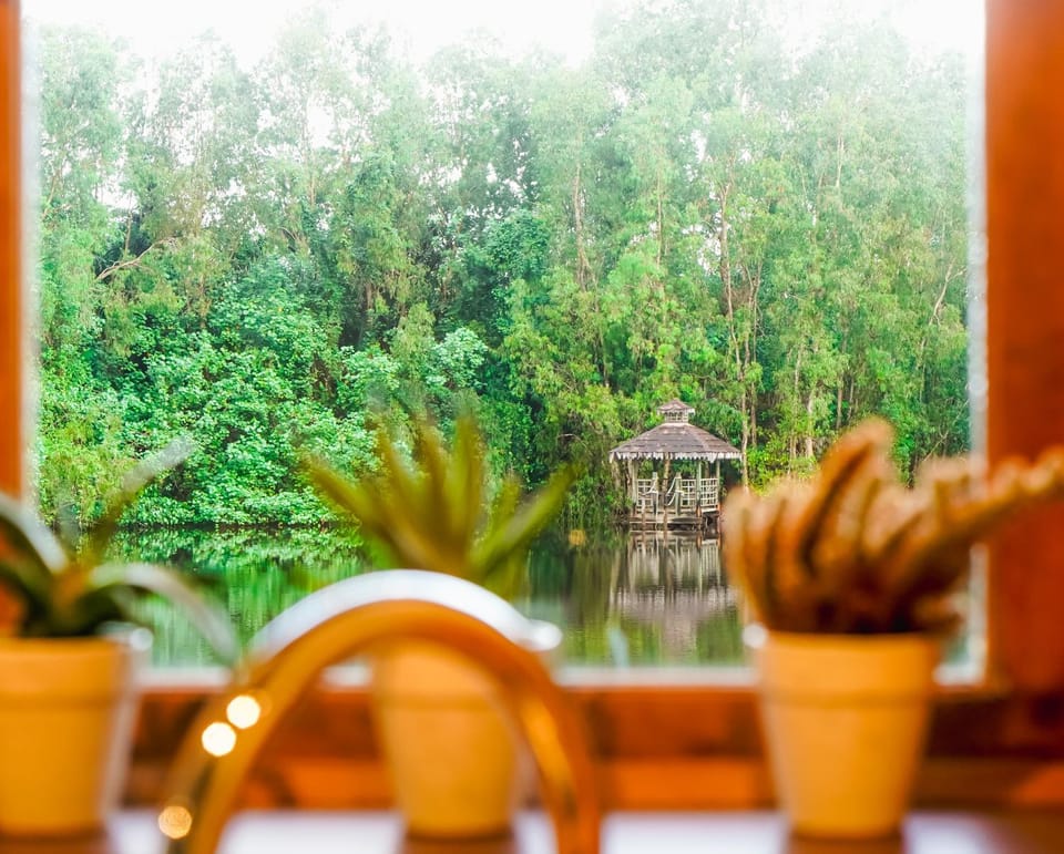 Garden view