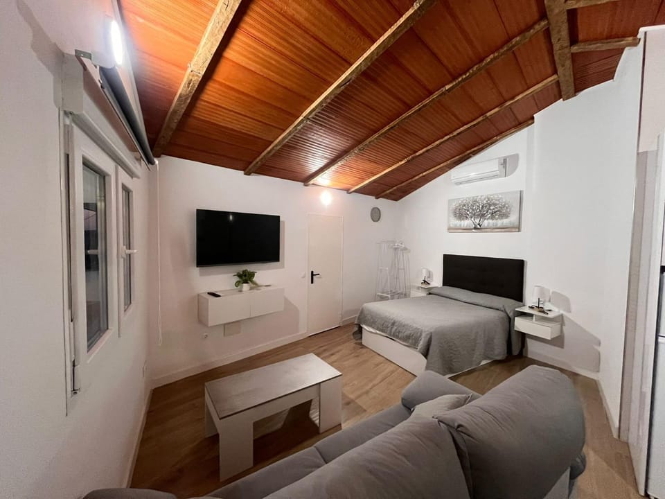 Apartamento Isabel Apartment in Sierra de las Nieves