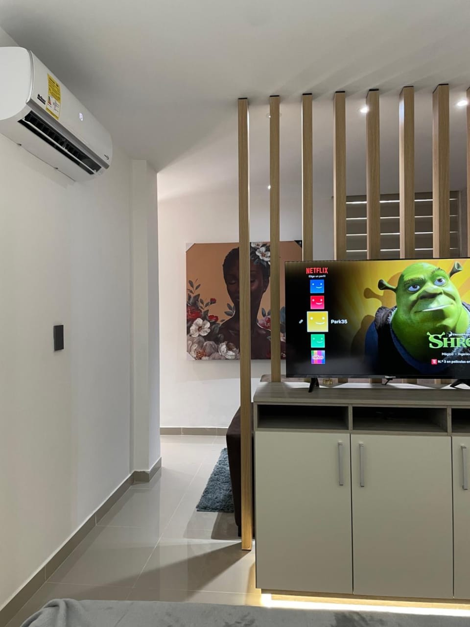 TV and multimedia, air conditioner