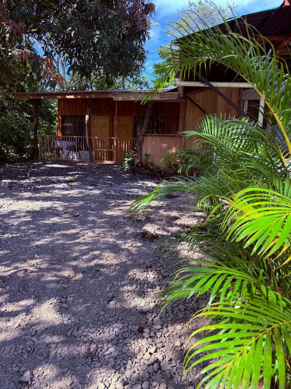 Property building, Garden view