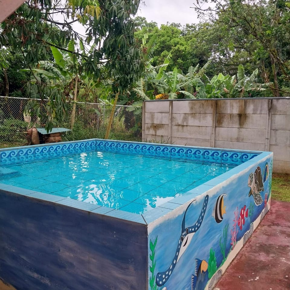 Pool view, Swimming pool