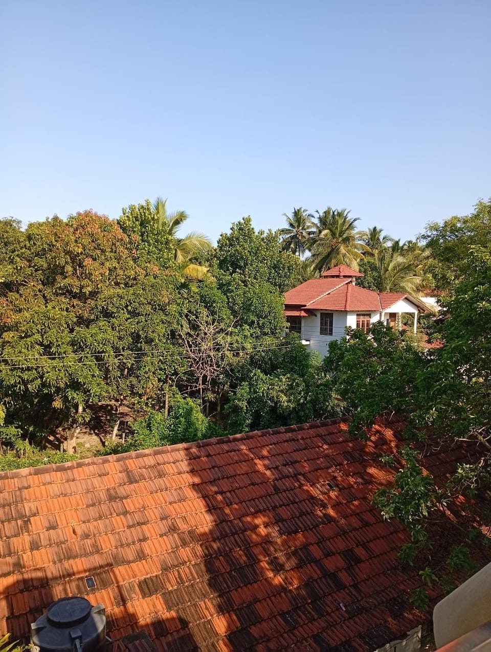 Nature Breathe Apartment in Dambulla