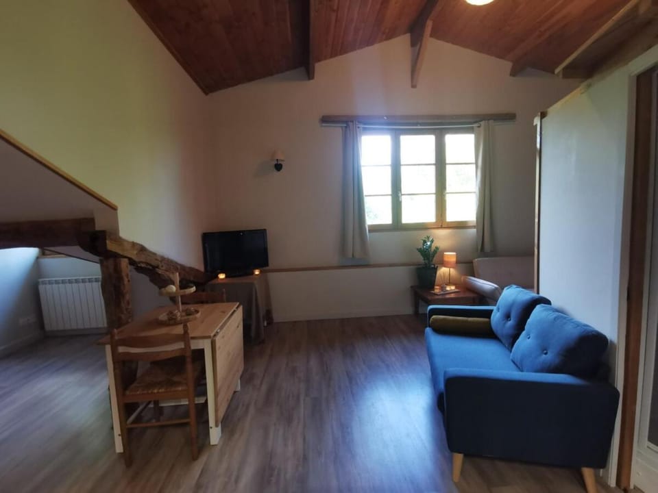 Grand Studio du moulin de Labarthe Apartment in Occitanie