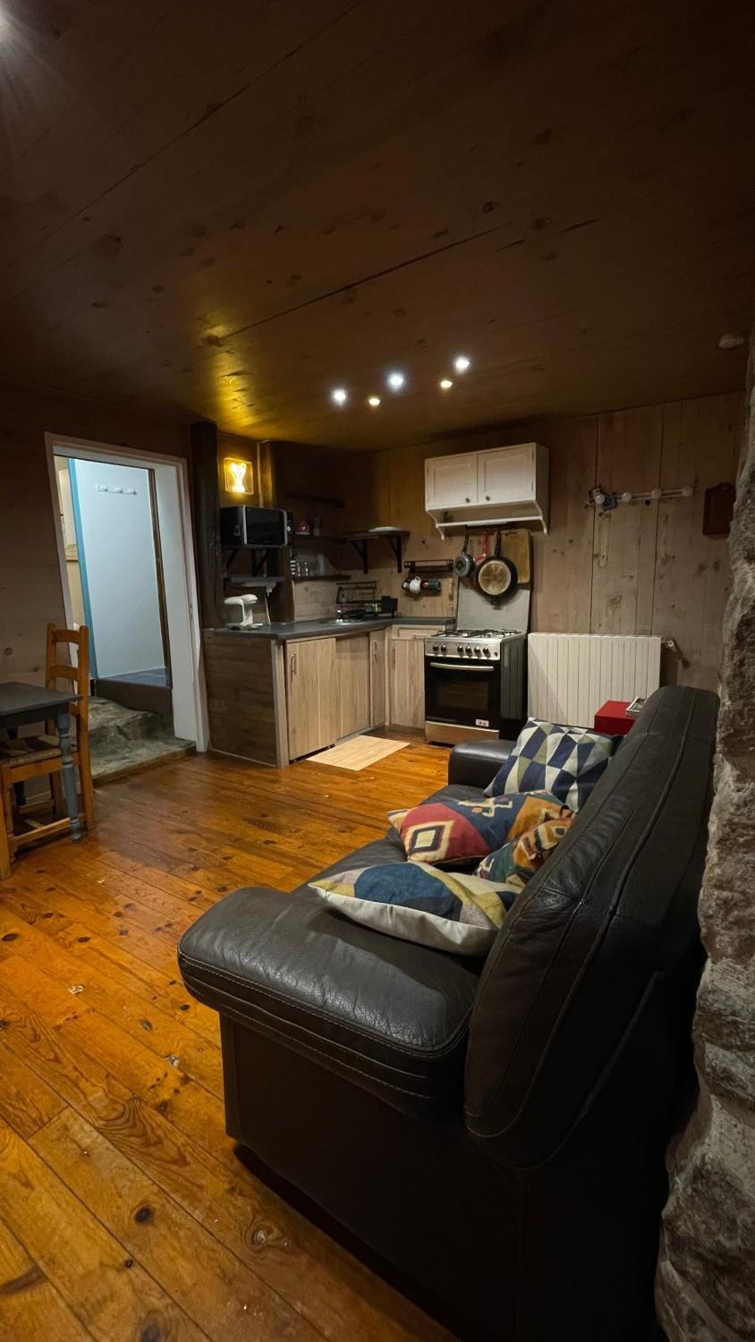 Kitchen or kitchenette, Living room, Seating area, Dining area, stove