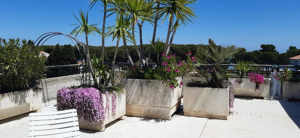Balcony/Terrace, Sea view