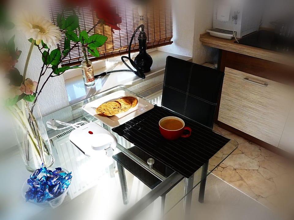 Ditton apartment city center Apartment in Lithuania