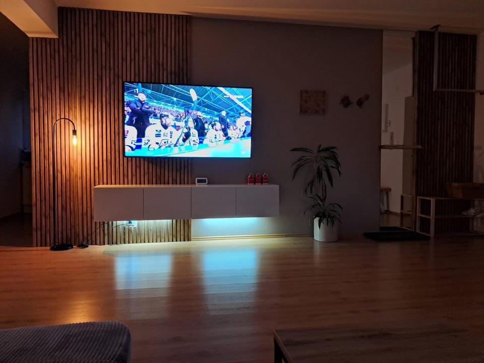 TV and multimedia