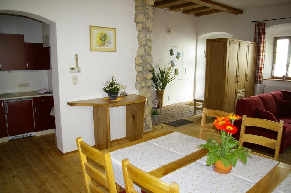 Kitchen or kitchenette, Living room, Photo of the whole room, Decorative detail, Seating area, Dining area